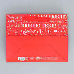 Цена за 2 шт. Пакет подарочный ламинированный, упаковка, «Люблю», MS 23×18×10 см
