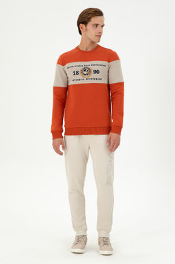 Мужской свитшот с плиткой Неожиданная скидка в корзине - U.s. polo assn фото 4