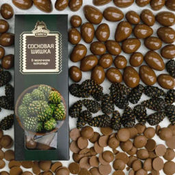 Драже Сосновая шишка в молочном шоколаде коробка 100г