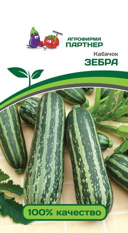 Кабачок Зебра