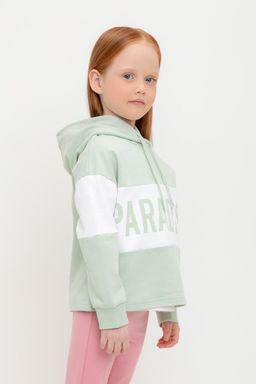 К 301691/дымчатый нефрит джемпер для дев