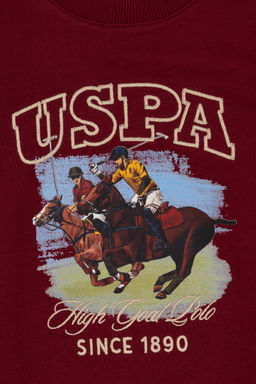 Erkek _ocuk Bordo Bisiklet Yaka _nce Bisiklet Yaka Sweatshirt - U.s. polo assn фото 6