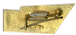 Значок Разлив