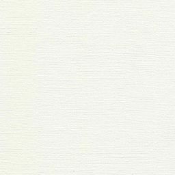 VISTA-ARTISTA Альбом для масляной живописи PON-A4 230 г/м2 A4 30 х 21 см склейка с одной стороны в полиэтиленовой пленке 20 л. Мегаполис текстура льна