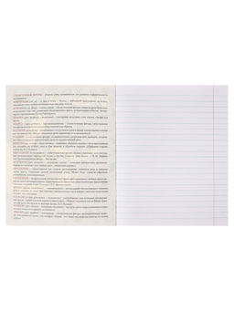 Цена за 5 шт. Предметная тетрадь по литературе Calligrata TOP «Аниме», 48 листов, в линейку, со справочным материалом, обложка из мелованного картона, блок офсет