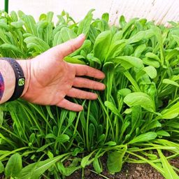 a02dbffaf1e516a128eed21f9170bd2bcpy5kfi2okk1ljn9h