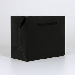 Пакеткоробка Чёрный, 28 20 13 см