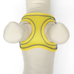 Комплект с мягкой шлейкой, размер XXS, поводок 150 х 1,5 см, ОГ 28-30 см,ОШ 24-26 см, жёлтый - Пижон фото 6