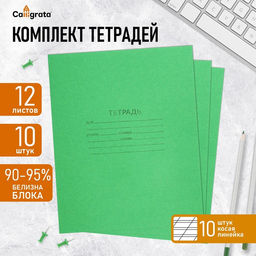 Комплект тетрадей из 10 штук, 12 листов в косую линию КПК Зелёная обложка, блок офсет, белизна 90-95%