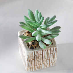 Цветочная композиция Кактус / WER-15 /уп 12/288/ микс - Галеонтрейд фото 19