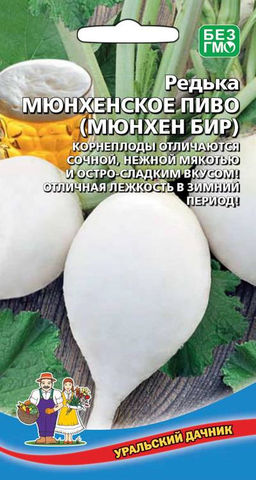 Редька МЮНХЕНСКОЕ ПИВО Нежная мякоть и сладко-острый вкус, без лишней горечи! Для вкуснейших, зимних витаминных салатов! Хранится всю зиму!