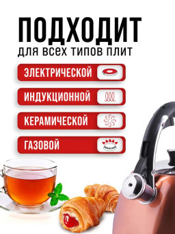 28970 Чайник 3 л нерж/сталь со свистком MB (х12) - Mayer&boch фото 8
