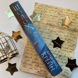 Шолох. Теневые блики