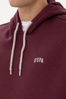 Erkek Oversize Fit Kap__onlu _ardonlu Bordo Basic Sweatshirt - U.s. polo assn фото 7