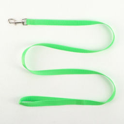 Комплект Базис, поводок 120 х 1,5 см, ОГ 32-46 см, зелёный - Пижон фото 4