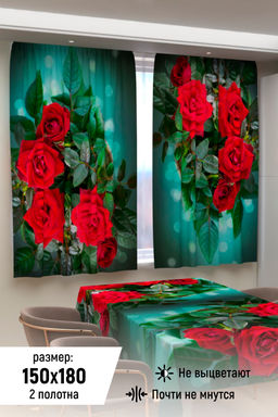 Фотошторы для кухни 10863