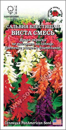 Сальвия Виста (смесь) 10шт. (Золотая сотка Алтая)