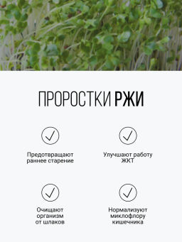 Смесь из семи видов проростков 200г (пшеница, полба, спельта, рожь, овес, чечевица, зеленая гречка)