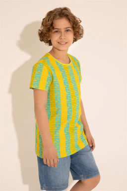 U. S. Polo Assn / Футболка с круглым вырезом фисташкового цвета для мальчиков - U.s. polo assn фото 7