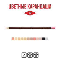 VISTA-ARTISTA Fine VFCPS-12 Набор цветных карандашей Скинтонс заточенный 8 х 12 цв - Lyra фото 6