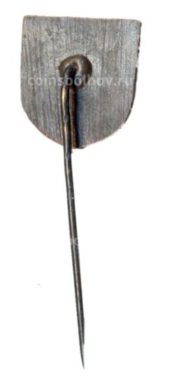 Значок Даугавпилс