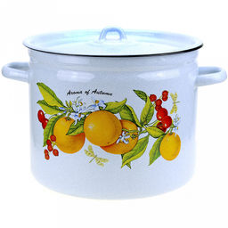 Фруктовая фантазия Кастрюля эмалированная 9л, форма цилиндрическая, металлическая крышка, металлические ручки, белый рябчик (Россия)