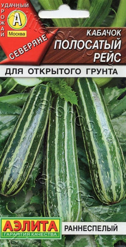 Кабачок Полосатый рейс (цуккини) 1г (Аэлита)