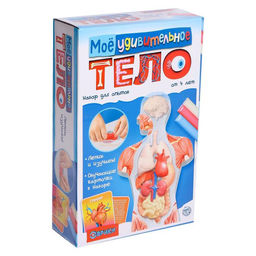 Уценка Набор для опытов Моё удивительное тело без пластилина