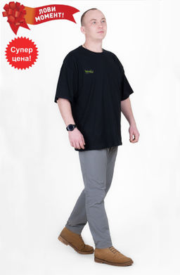 Футболка мужская Брайн Ф-59 (46-60) кулирка