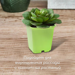 Цена за 24 шт. Горшок для рассады, 500 мл, 9×9×10 см, салатовый