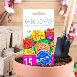 Семена комнатных цветов Кальцеолярия «Башмачки», F1, 5 шт.