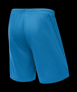 Шорты баскетбольные JOGEL CAMP Basic, бирюзовый, детский  фото 4