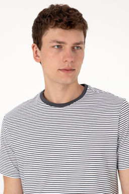 Erkek Regular Fit Bisiklet Yaka Siyah _izgili Ti__rt Sepette S_rpriz _ndirim - U.s. polo assn фото 2