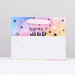 Цена за 2 шт. Пакет подарочный ламинированный горизонтальный «Пусть мир будет ярче», 23×18×10 см