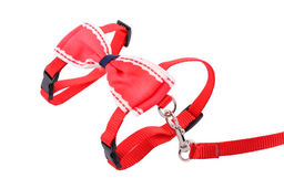 Набор для кошек из поводка и шлейки с бантиком, в ассортименте 270073