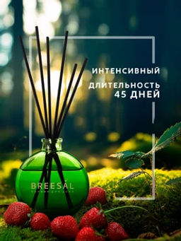 Breesal Декоративный ароматизатор Aromatherapy Внутренняя гармония фото 5
