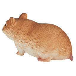Хомяк