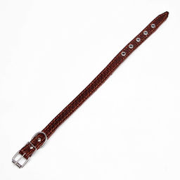 Ошейник кожаный с тиснением на синтепоне, 46 х 2 см, ОШ 25-35 см, коричневый - Пижон фото 4