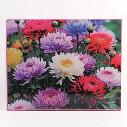 Алмазная вышивка полное заполнение «Астры», на раме, 40×50 см