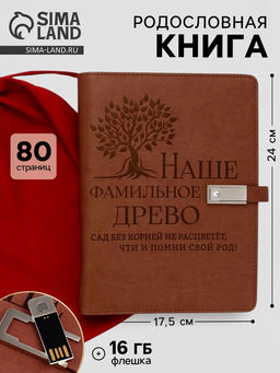 Родословная книга со встроенной флешкой 16 Gb «Наше фамильное дерево», 17.5×23 см