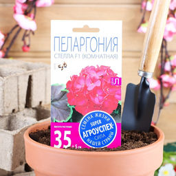 Семена цветов Пеларгония зональная «Стелла», F1, 4 шт.