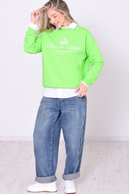 Свитшот женский 6-221 из футера двунитки - Новое кимоно фото 33