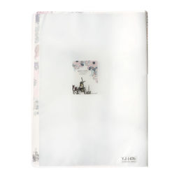 Папка формат А4, с 40 прозрачными файлами Город, МИКС - Calligrata фото 9