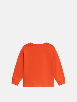 ACOOLA / Джемпер детский для мальчиков Bolger красный  фото 2