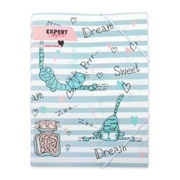 Expert Complete Trend Папка на резинке A4 ECRF-04 450 мкм 35 мм песок 5 шт. СК/Распродажа №02 - Кот