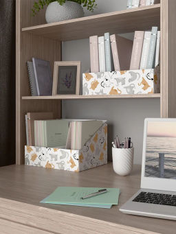 VAL CT-VP-300 Лоток - органайзер для бумаг, 30*23*20 см., набор 2 шт., КОТИКИ , шт