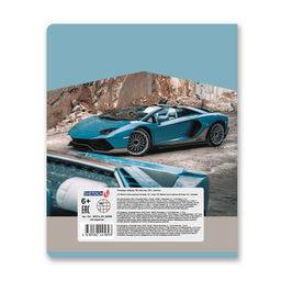 Светоч 96ТЕТк-001 Тетрадь ученическая общая, A5 96 л. на скобе 60 г/кв.м , белизна 100 % 5 шт. клетка 000780 На скорости  фото 9