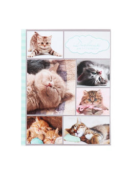 Цена за 2 шт. Дневник универсальный для 1-11 классов, «Котята», твердая обложка 7БЦ, глянцевая ламинация, 40 листов