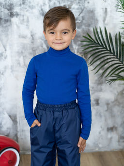 Джемперводолазка василек