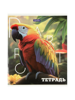 Комплект 12 тетрадей, 48 листов, клетка, 60гр, 4 вида, Животные